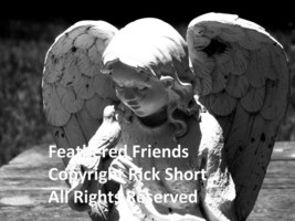Angel and Bird Feathered Friends Black &amp; White Fine Art Photography - $839.66 MXN