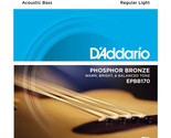 D&#39;Addario EPBB170 Phosphor Bronze Acoustic Bass Strings Long Scale 45-100 - $43.69