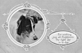 Wishing You All Happiness~Sheltie DOG~1915 Embossed Photo Greeting Postcard - £5.70 GBP