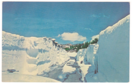 Vtg Postcard-Early Spring in the Rockies-Seven Feet of Snow-Chrome-CO4 - £7.59 GBP