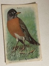 Arm &amp; Hammer Red Eyed Vireo Victorian Trade Card VTC 5 - £3.16 GBP