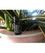 doTERRA Northern Escape 15 mL Essential Oil  NEW &amp; SEALED Exp 03/26 - $21.00