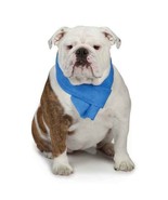 Cool Pup Cooling Towel Keep Dogs Pets Cool for Hours Protect Them from t... - $13.54 CAD