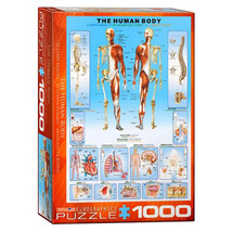 Eurographics the Human Body Jigsaw Puzzle 1000pcs - $52.62