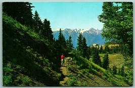 Sentiero Su Uragano Ridge Olympic National Foresta Wa Unp Cromo Cartolina G5 - £3.20 GBP