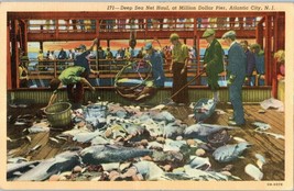 Deep Sea Net Haul, at Million Dollar Pier, Atlantic City New Jersey Postcard - £5.81 GBP