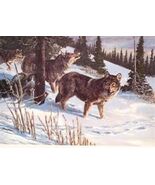 TIMBER WOLF Tom Beecham Remington Wildlife Art Collection Print  - $29.67