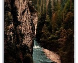 First Capilano Canyon Vancouver BC Canada UNP DB Postcard Z3 - £2.32 GBP