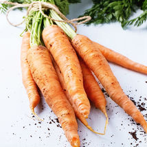 Ship From Us Amsterdam Carrot Seeds - 10 Lb Seeds PACKET-NON-GMO, Heirloom TM11 - $519.48