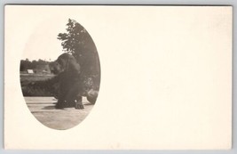 RPPC Adorable Little Puppy Oval Masked Photo Postcard S27 - £7.95 GBP