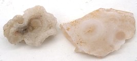 2 Nice Quartz Chalcedony Rose From The New Mexico Desert. Weighs 21.6 Grams - £3.96 GBP