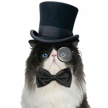 Bow Tie For Cats - £6.31 GBP