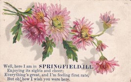 Springfield Illinois IL Pink Flowers Postcard D59 - £2.23 GBP