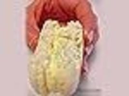 Item image 14
