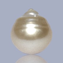 Teardrop 13.3 x 14.4mm 17.2 Carats Rich Gold Philippines South Sea Loose Pearl - $71.53