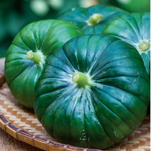 US Seller Cupcake Squash New Fresh - £6.10 GBP