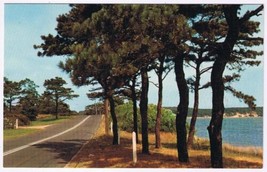 Postcard Along The Highway Trees Lake - £1.54 GBP