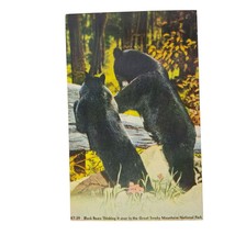 Postcard Black Bears Thinking It Over Great Smoky Mountains National Park Chrome - £5.53 GBP