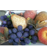  Beaded Faux Fruit Pomegranate Apple Pears Grape Vine Bunches Prop Decor - $44.54