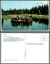 MICHIGAN Postcard - near Manistique, Kitch-Iti-Ki-Pi Spring O29 - £2.21 GBP