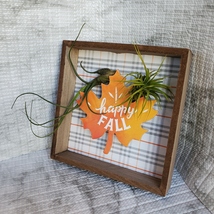 Fall Decor Plaque, live air plants, Wooden shadow box, autumn leaf "Happy Fall" image 2