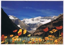 Postcard Lake Louise Icelandic Poppies Mt Victoria Banff National Park Alberta - £2.38 GBP