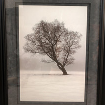 Large Black &amp; White Photograph (12 x 19) Winter&#39;s Mist #460 by Dave Reinhard - £58.92 GBP