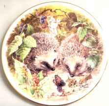 Hedgehog Collector Plate Royal Grafton Fine Bone China England Dorothy Wallace - £18.74 GBP
