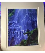 Enchanted Valley Ron Mellott matted Proxy Falls Oregon waterfall photogr... - $53.99