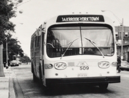 Chicago Transit Authority CTA Bus #509 Oakbrook Yorktown Photo - £7.43 GBP