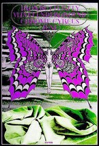 Iron Butterfly - The Velvet Underground - 1968 Avalon Ballroom - Concert Poster  - £9.54 GBP