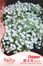 60 Seeds Gypsophila Snowflake White Baby S Breath Florists Gardening - £16.60 GBP