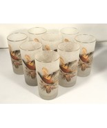 Vintage West Virginia Pheasant Glazed Pebble Frosted Hi Ball Glasses 8 S... - £71.29 GBP
