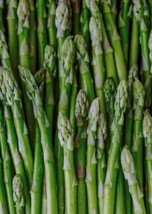 Mary Washington Asparagus Seeds | Organic FRESH - £14.81 GBP