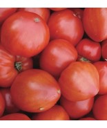 Oxheart Tomato Seeds – Heirloom, Large Meaty Fruit, Indeterminate, 80 Days - $68.17 MXN+