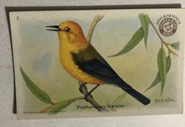 Prothonotary Warbler Victorian Trade Card Arm And Hammer VTC 5 - £4.68 GBP