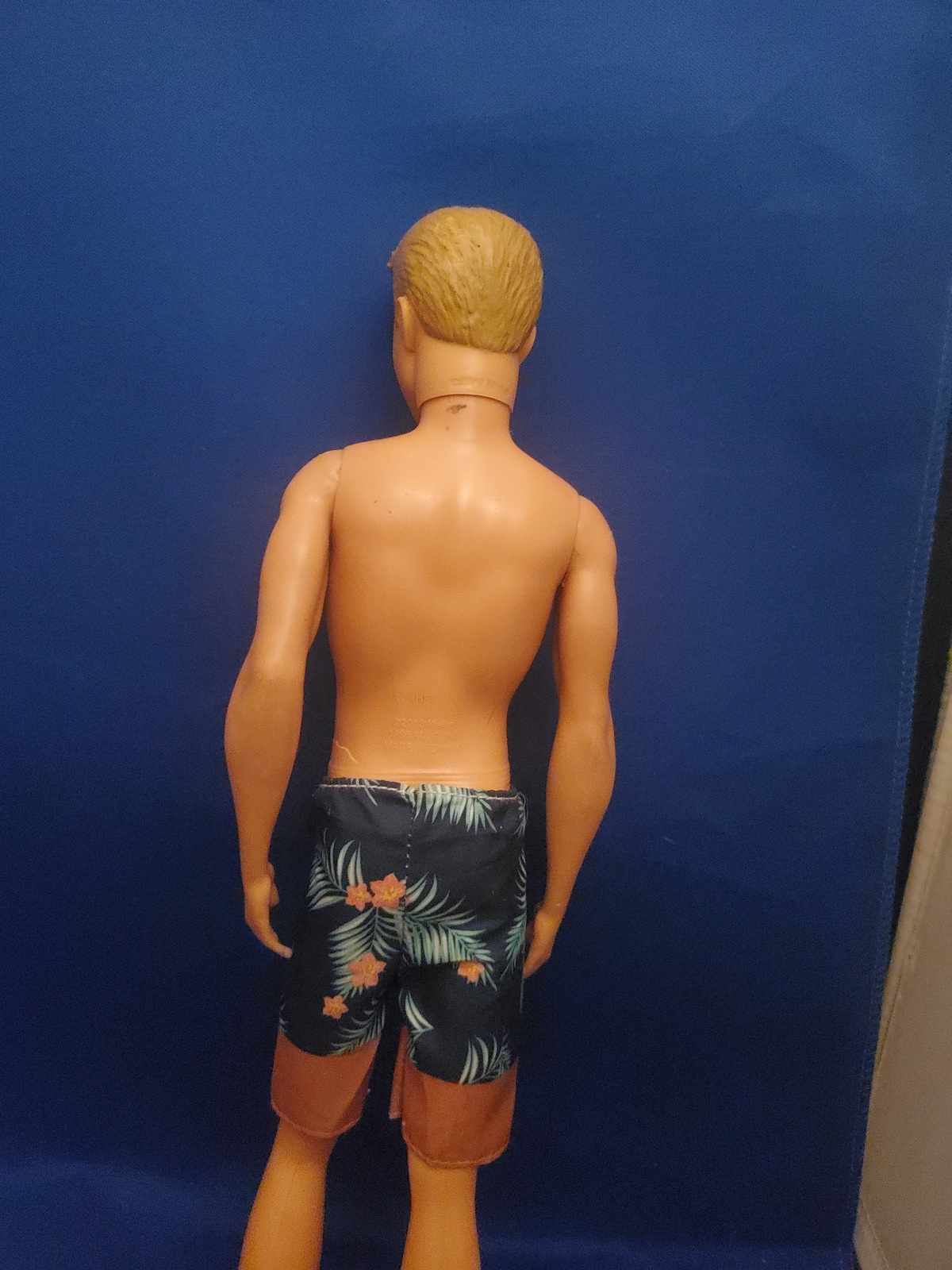 Ken Doll with Swim Trunks and Beach Accessories