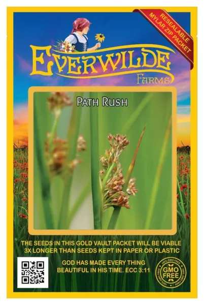 2000 Path Rush Native Grass Seeds Farms Mylar Seed Packet Fresh Garden - $8.50