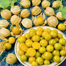 Pineapple Tomatillo Seeds Heirloom Non Gmo Fresh - £4.71 GBP