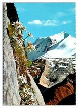 Hintertux Glacier Tyrol Austria Postcard - $52.02