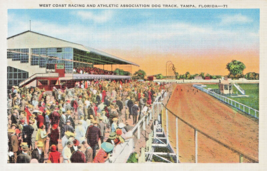Tampa Florida~Dog TRACK-WEST Coast Racing ASSOC~1920s Antique Vintage Postcard - £8.24 GBP