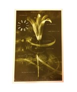 TORI AMOS &amp; A Man Called E 1992 Beacham Theater Concert Poster RARE! 11x17 - £79.15 GBP