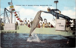 Feeding Time at Marine Studios Marineland FL Postcard PC78 - £3.95 GBP