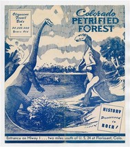 Colorado Petrified Forest Brochure Florissant Colorado 1950&#39;s - $21.78