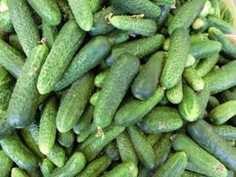 150 Seeds Boston Pickling Cucumber Heirloom Cucumis Sativus Fruit Vegetable - £13.41 GBP