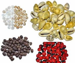 Combo of Red Gunja Beads, Kamal Gatte, Yellow Kaudi and Gomti Chakra 11 pcs each - £23.22 GBP