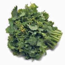 Grow In US Broccoli Raab Rapini Heirloom 50 Seeds Delicious A Culinary D... - £7.21 GBP