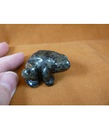 (Y-FRO-580) Green black FROG stone gemstone CARVING figurine AMPHIBIAN f... - $14.01