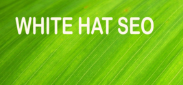 White hat SEO v1 to rank higher - $15.29