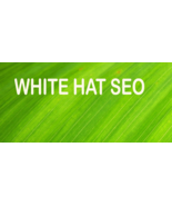 White hat SEO v1 to rank higher - $470.29 MXN
